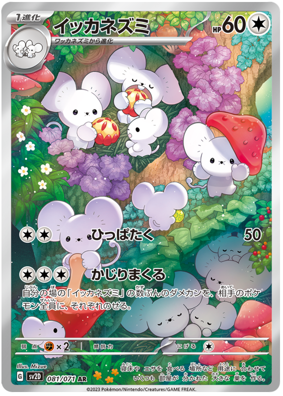 Maushold SV2D 081/071 AR JPN