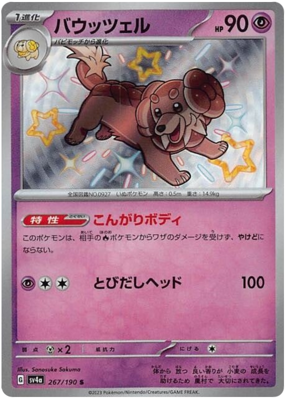 Dachsbun SV4A 267/190 S JPN