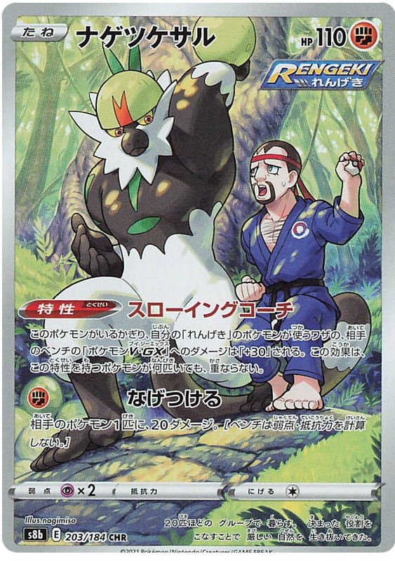 Passimian S8B 203/184 CHR JPN