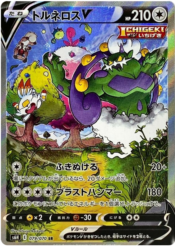 Tornadus V S6H 079/070 SR JPN