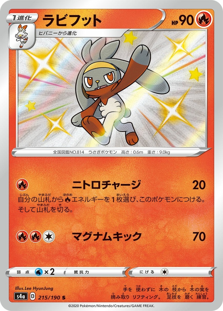 Raboot S4A 215/190 S JPN