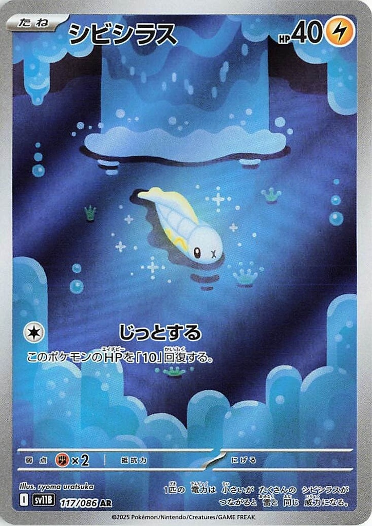 Tynamo SV11B 117/086 AR JPN