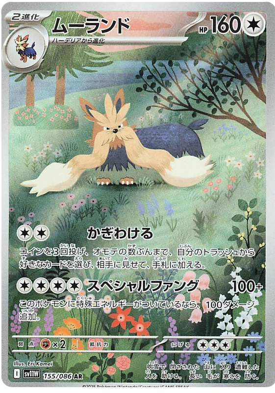 Stoutland SV11W 155/086 AR JPN