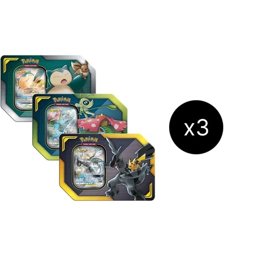 [595411] Tag Team Tin Case